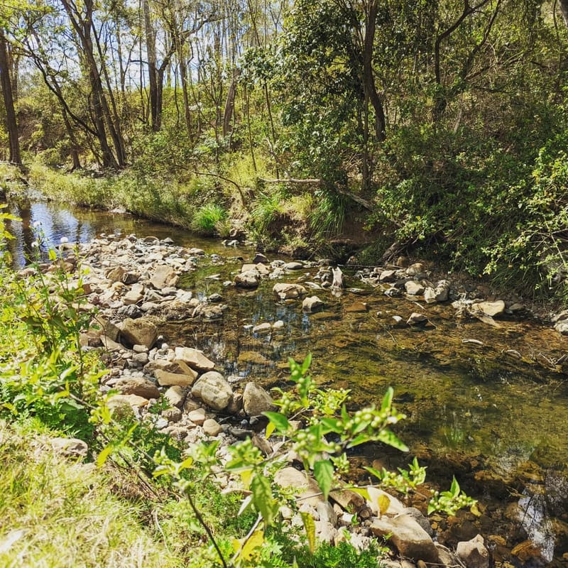 The Bremer River winding through Ellia's Garden