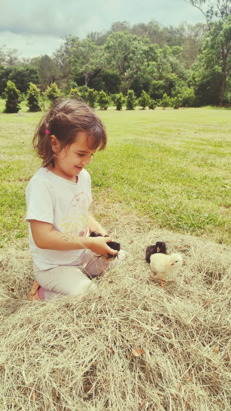 Child holding baby chicks at Ellia's Garden